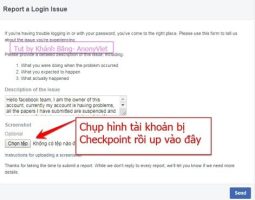 blog-widget