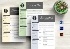 blog-widget