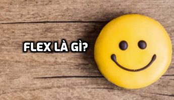 blog-widget