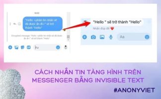 blog-widget
